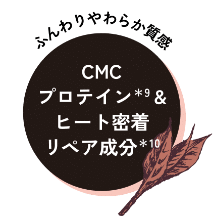 CMCプロテイン＆ヒート密着リペア成分